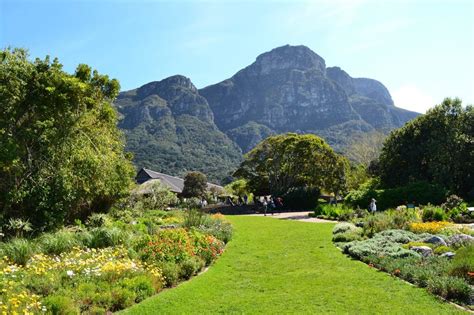 botanischer garten kirstenbosch fotos|Kirstenbosch: Einer der schönsten Botanischen Gärten der Welt